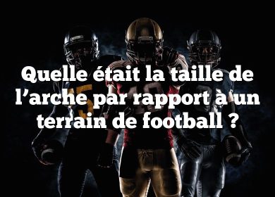 Quelle était la taille de l’arche par rapport à un terrain de football ?